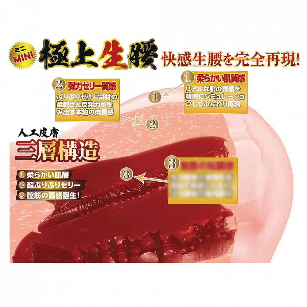 NPG【極上生腰 Mini 森日向子 2kg】極上生腰 ミニ 森日向子